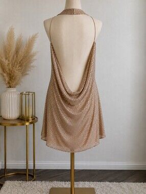 Haute Hippie 100% Silk Beaded Cowl Neck Mini Dress Champagne Size L